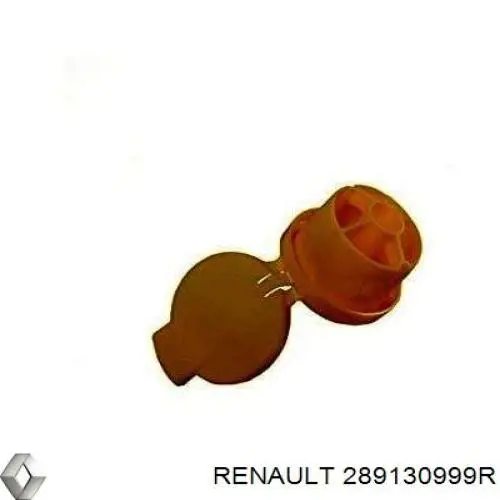 289130999R Renault (RVI)