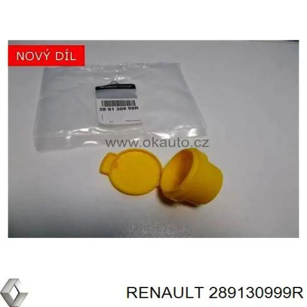Крышка бачка омывателя Renault (RVI) 289130999R