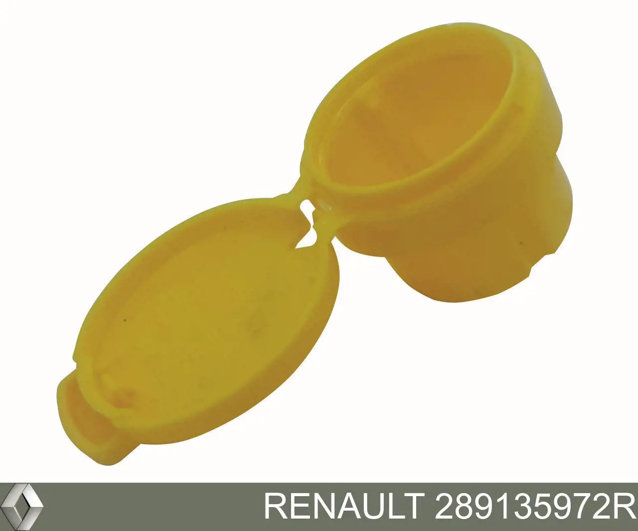 Крышка бачка омывателя Renault (RVI) 289135972R
