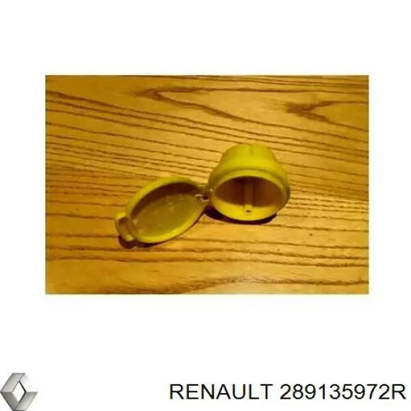 Крышка бачка омывателя 289135972R Renault (RVI)