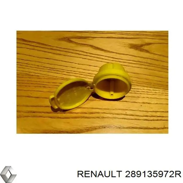 Крышка омывательного бачка Renault (RVI) 289135972R