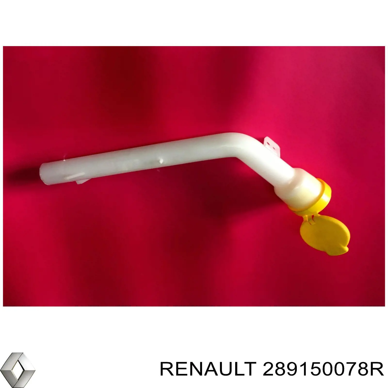 289150078R Renault (RVI) 
