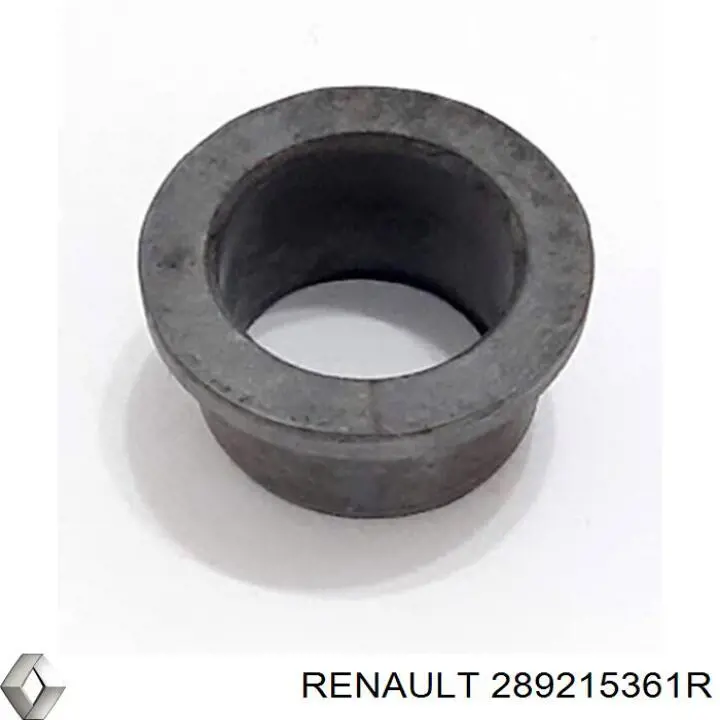 289215361R Renault (RVI)