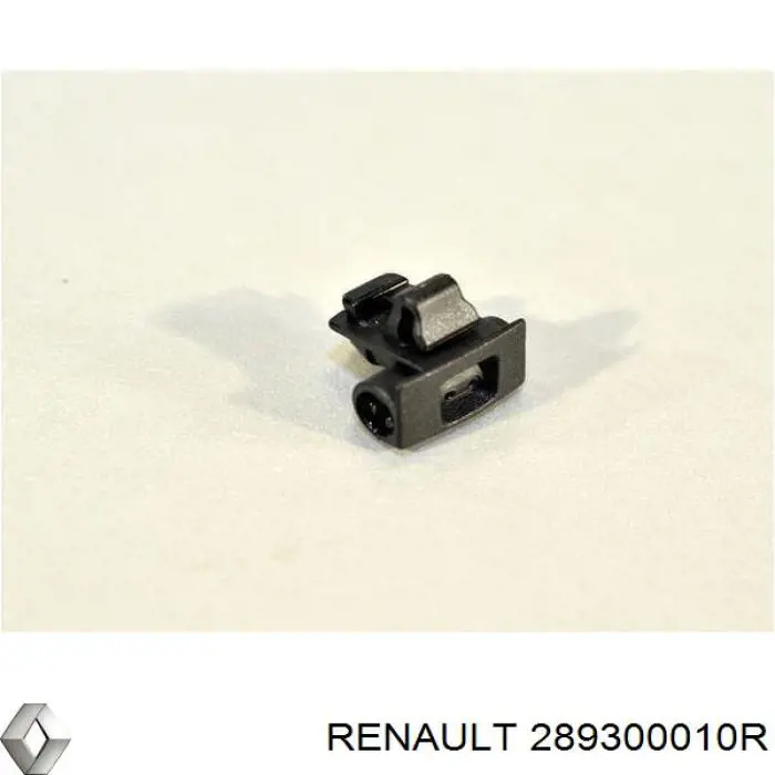 289300010R Renault (RVI) injetor de fluido para lavador de pára-brisas