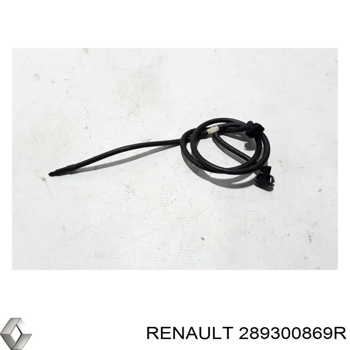  289300869R Renault (RVI)