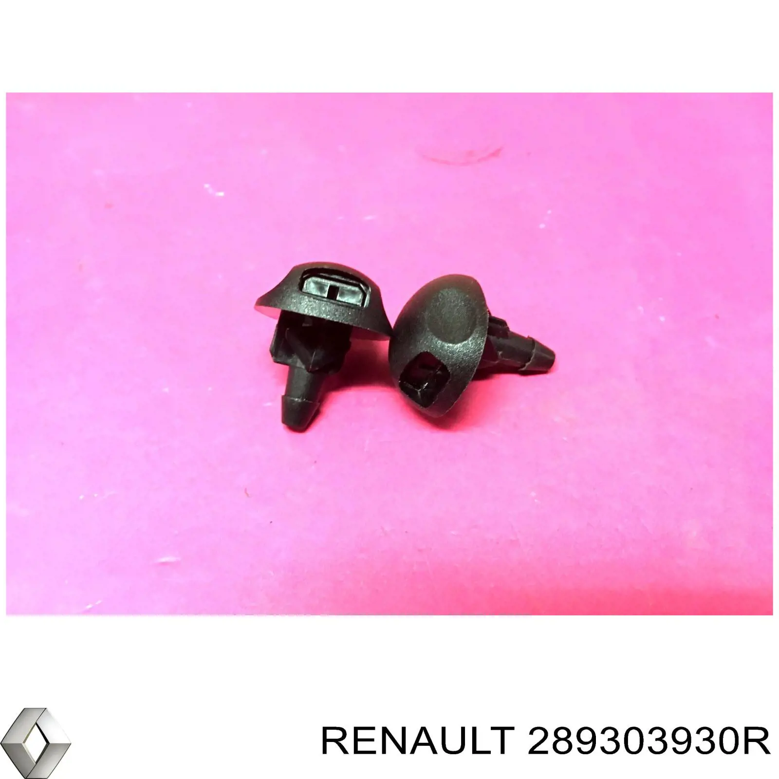 289303930R Renault (RVI) 