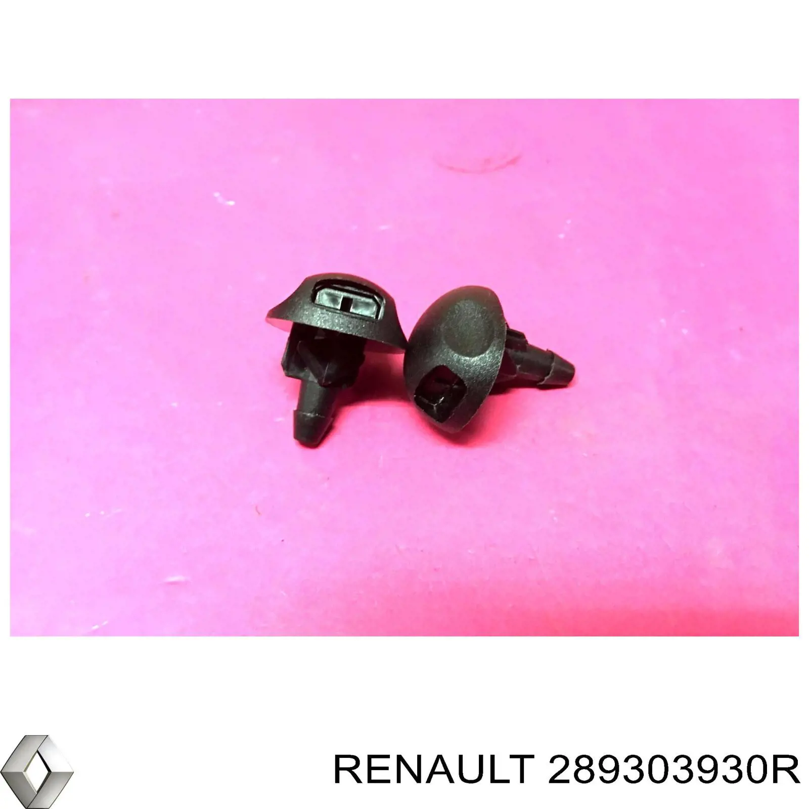  Renault (RVI) 289303930R цена, от 17.88 USD