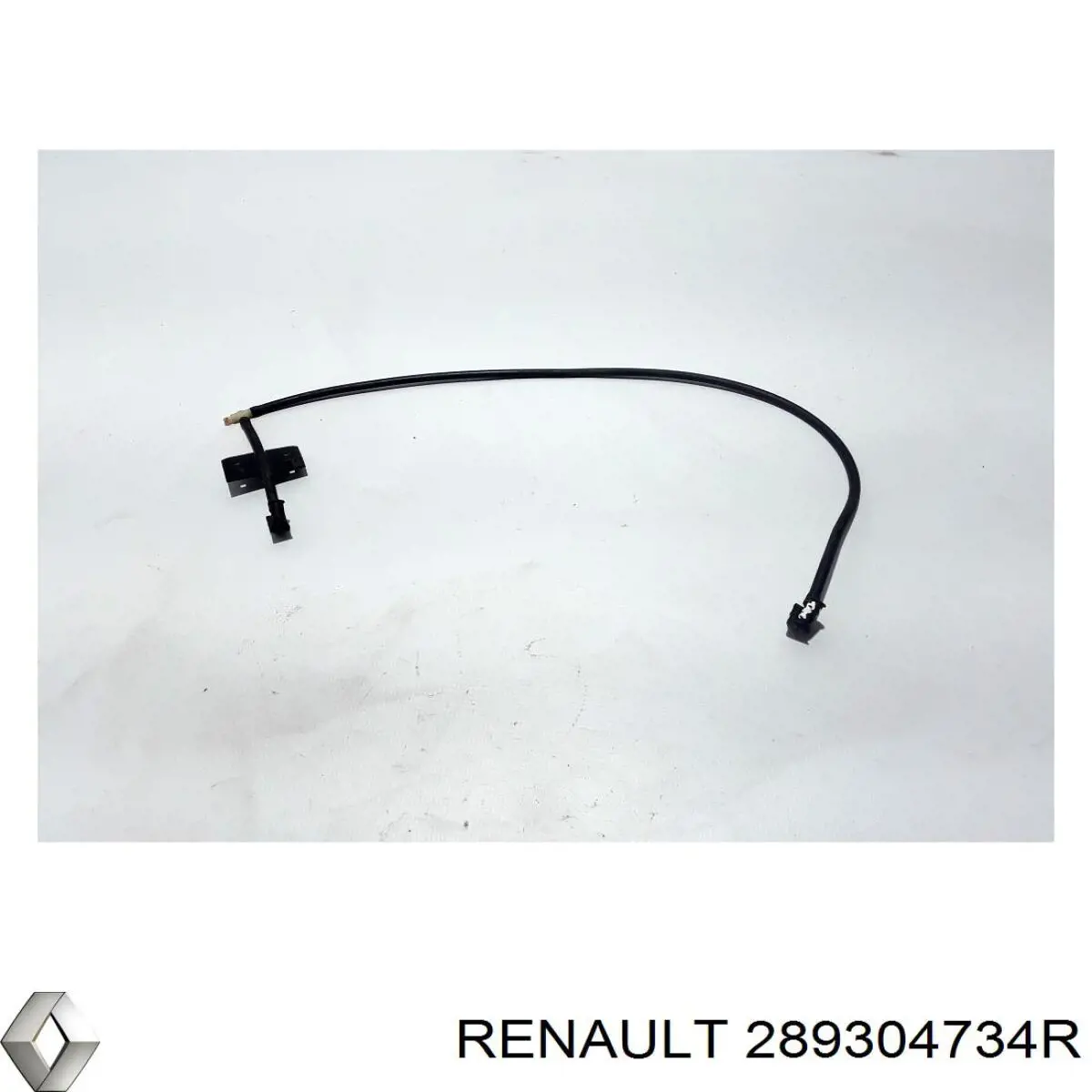  289304734R Renault (RVI)