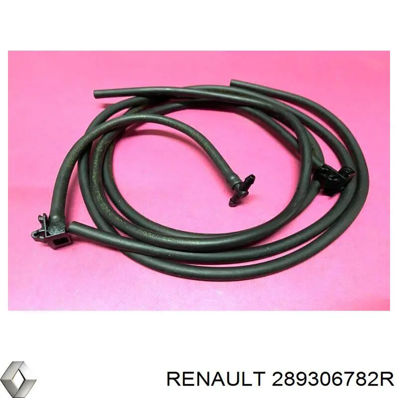 289306782R Renault (RVI) 