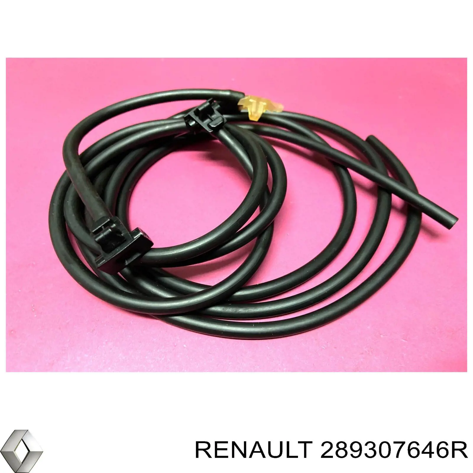 289307646R Renault (RVI) Веерная форсунка омывателя