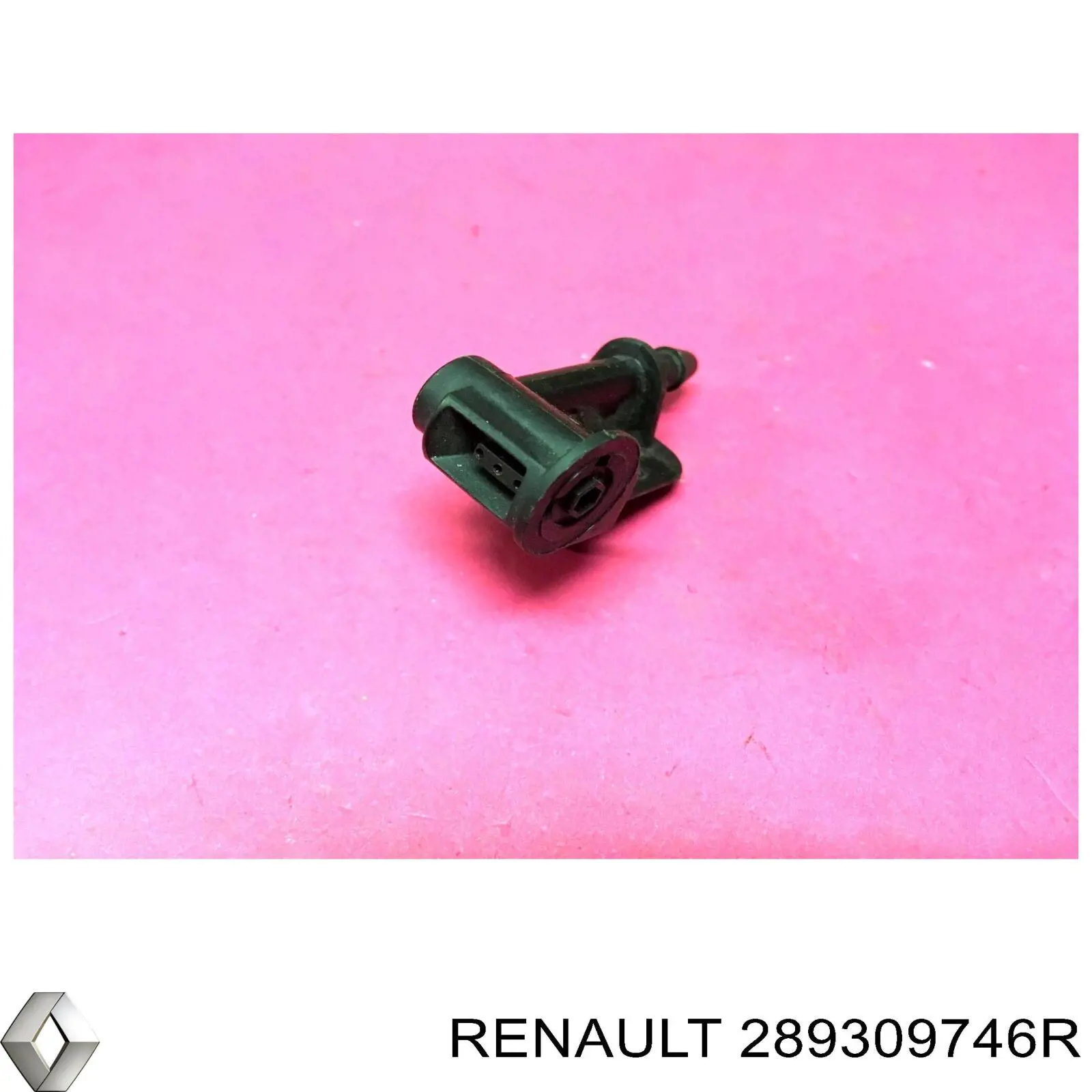  289309746R Renault (RVI)