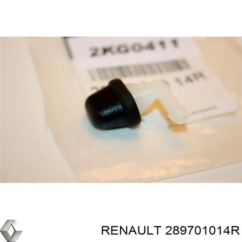 289701014R Renault (RVI)