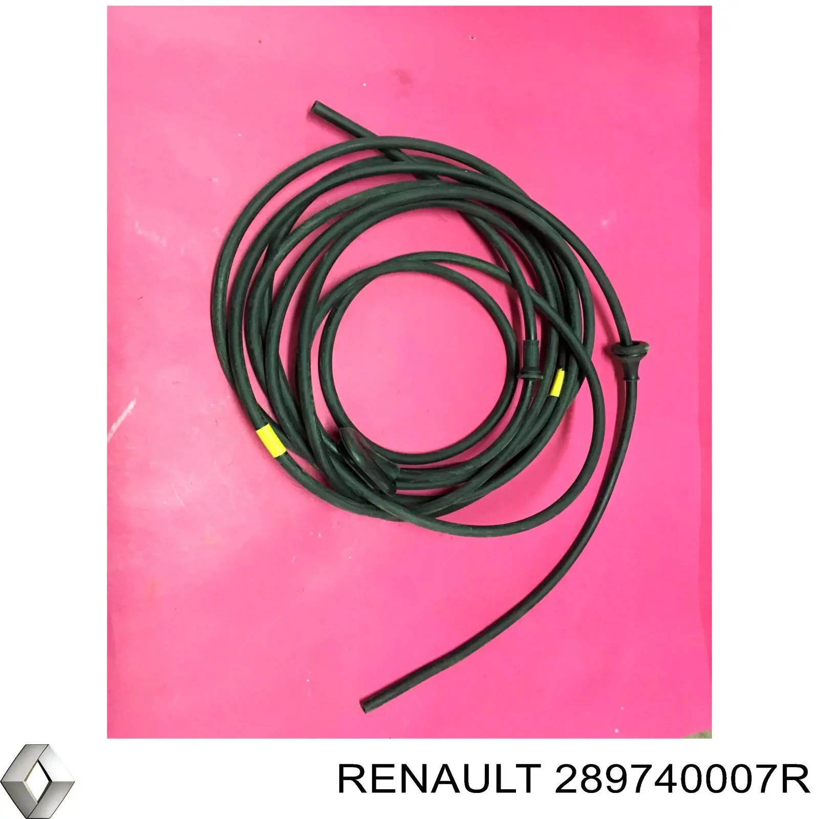 289740007R Renault (RVI) 