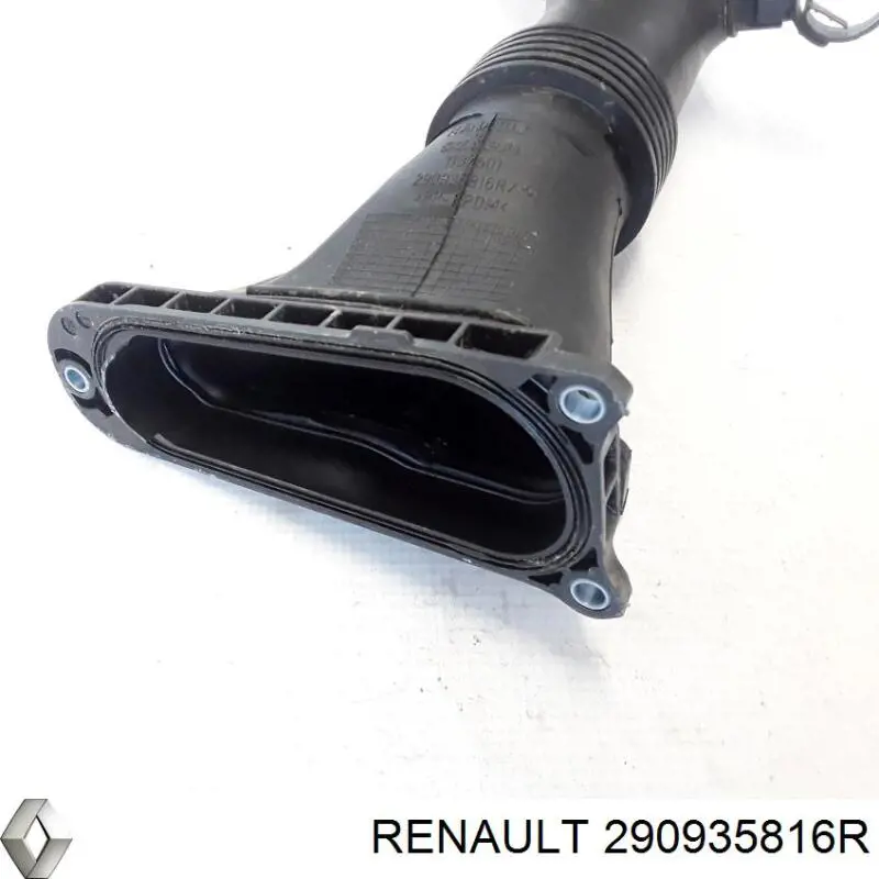 290935816R Renault (RVI) 