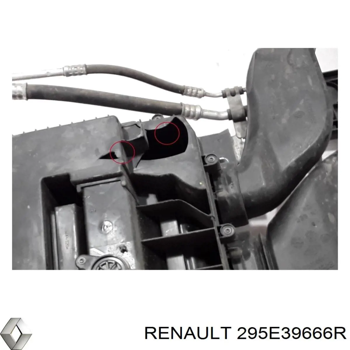 295E39666R Renault (RVI) 