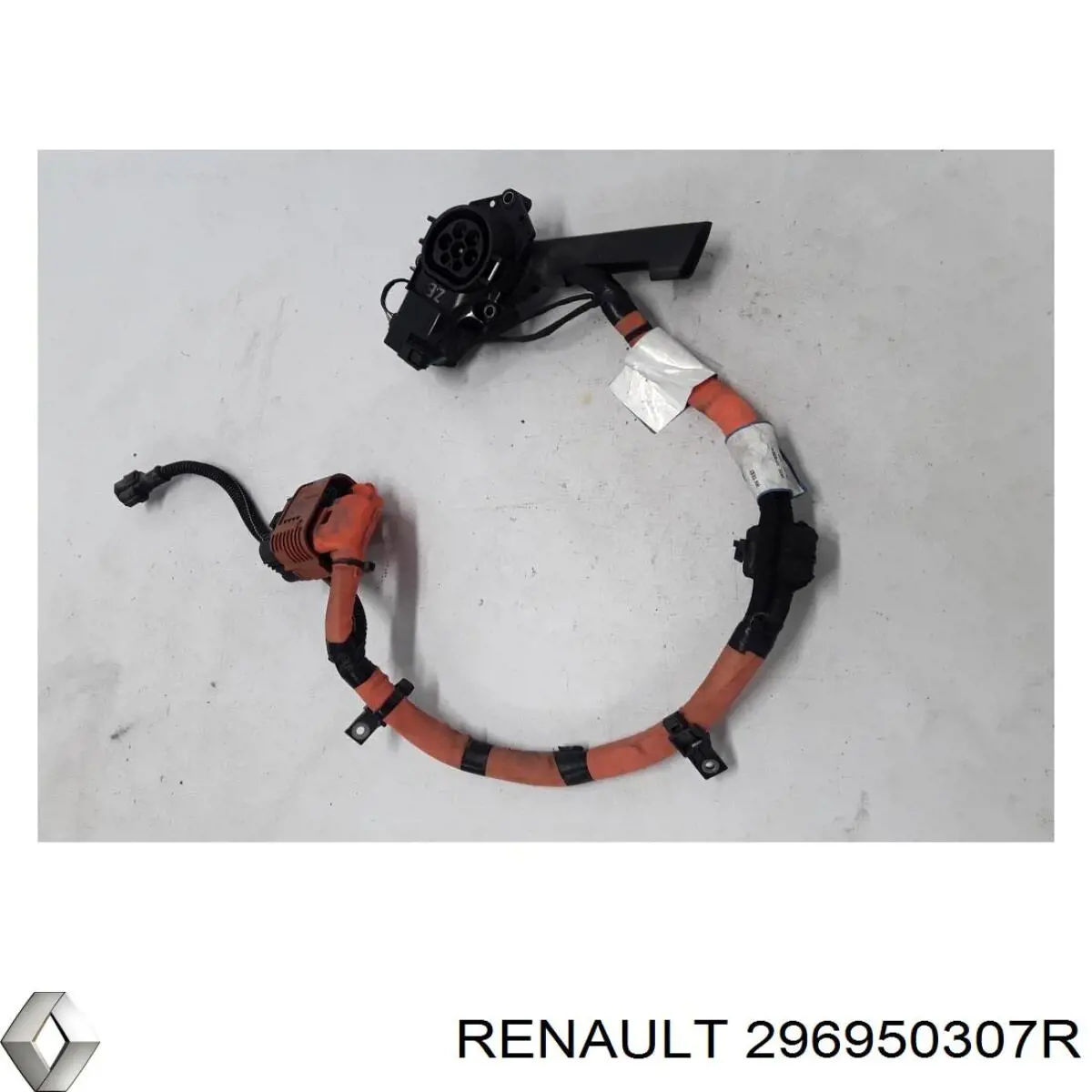  296950307R Renault (RVI)