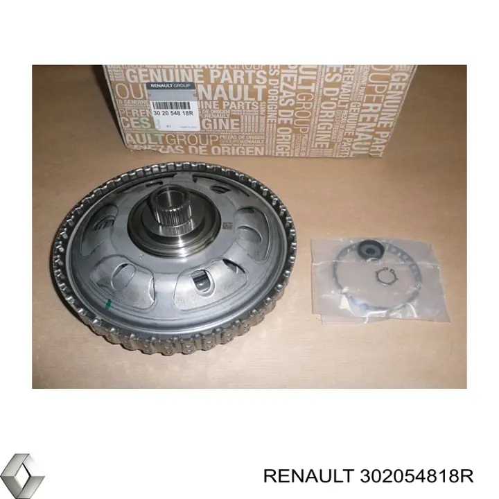  302054818R Renault (RVI)