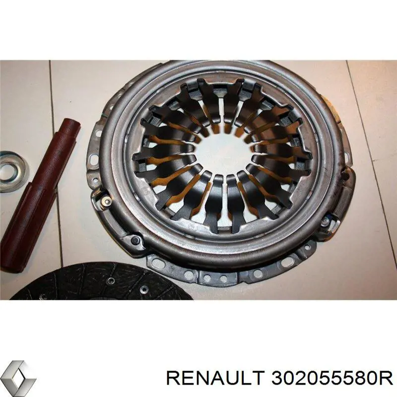  302055580R Renault (RVI)