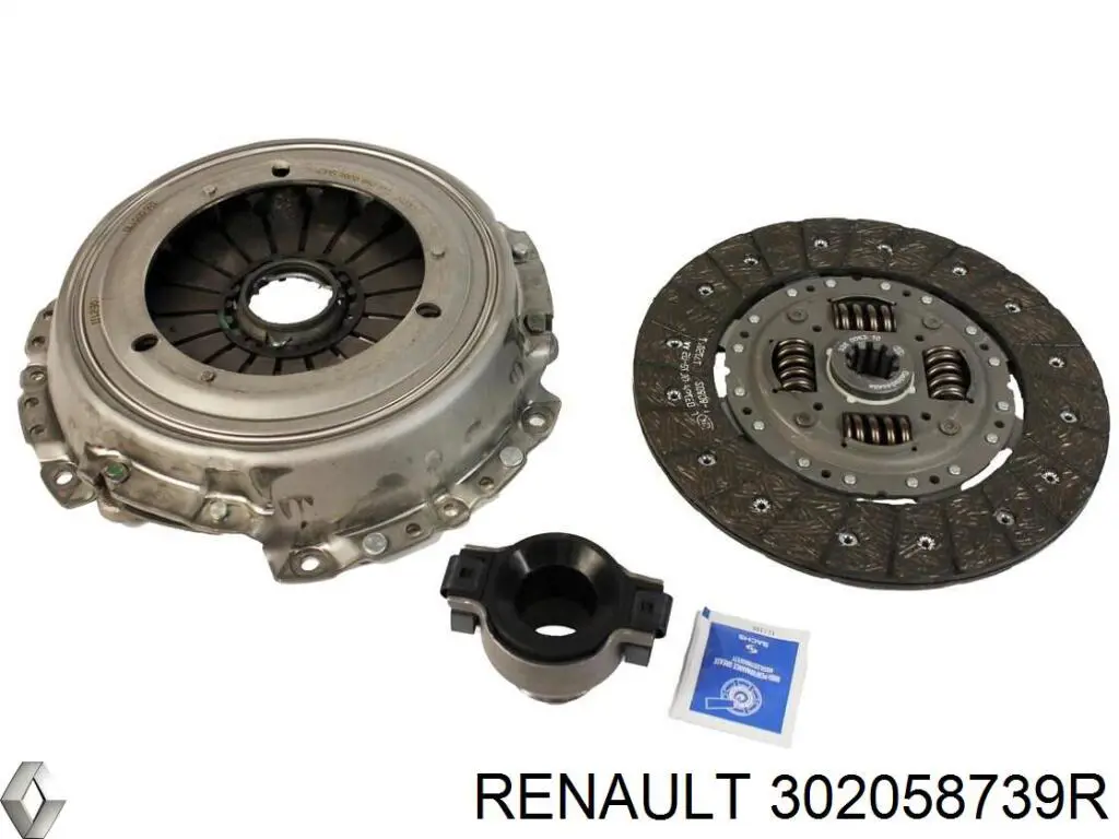 302058739R Renault (RVI)