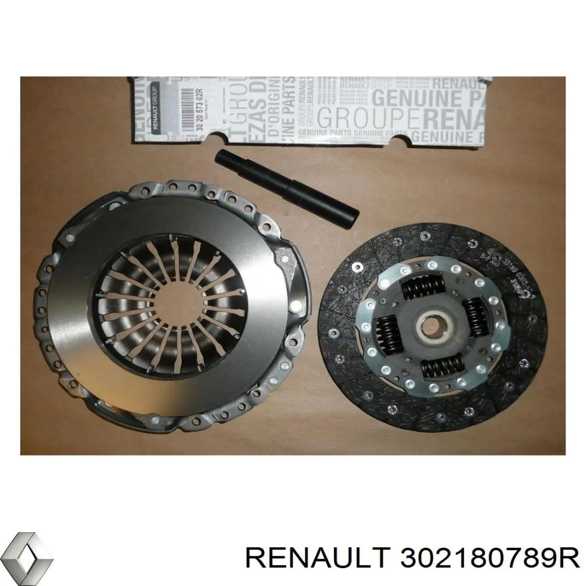 302180789R Renault (RVI) 