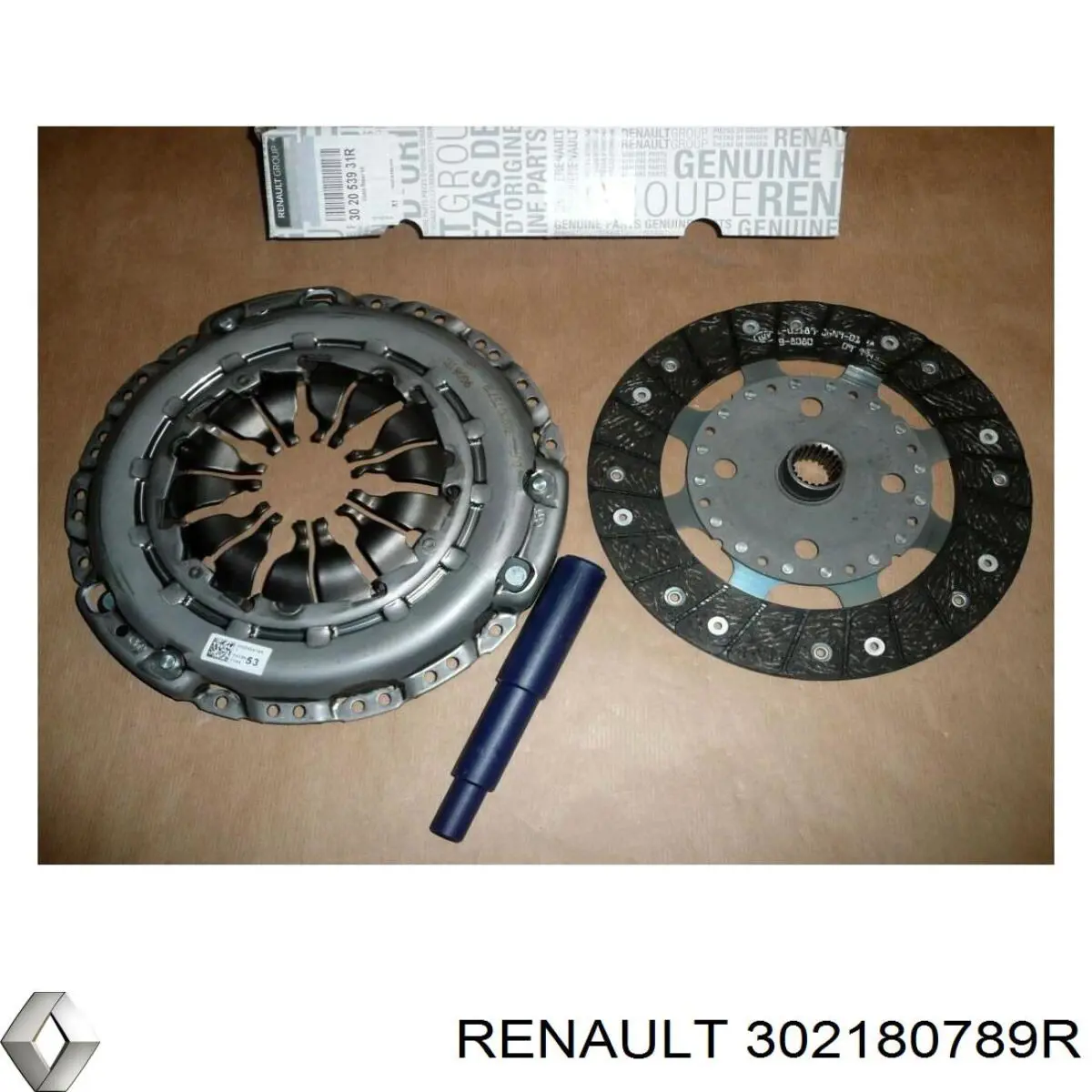  302180789R Renault (RVI)