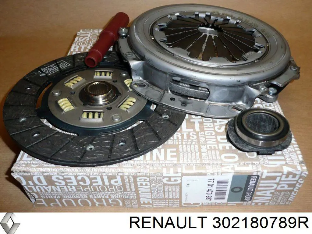  302180789R Renault (RVI)