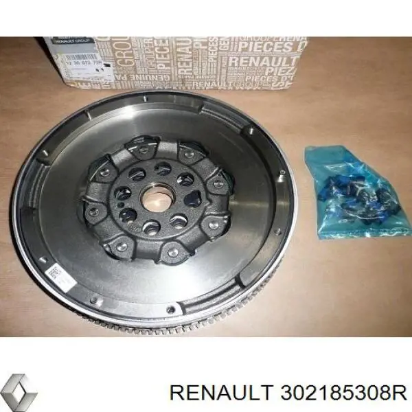  302185308R Renault (RVI)