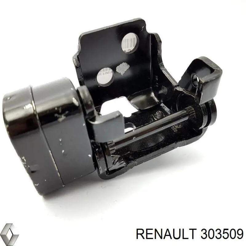 Купить 303509 Renault (RVI) 