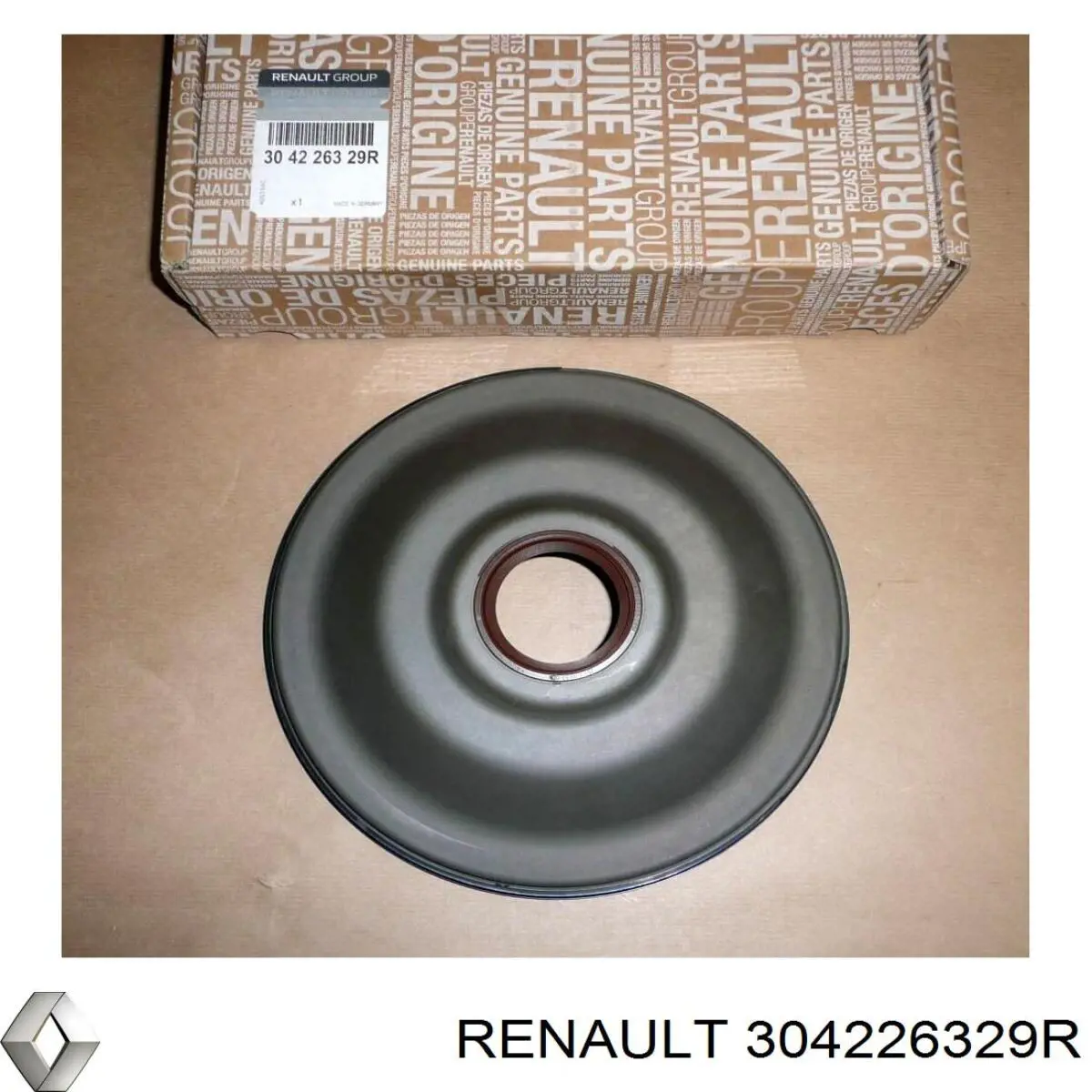  304226329R Renault (RVI)