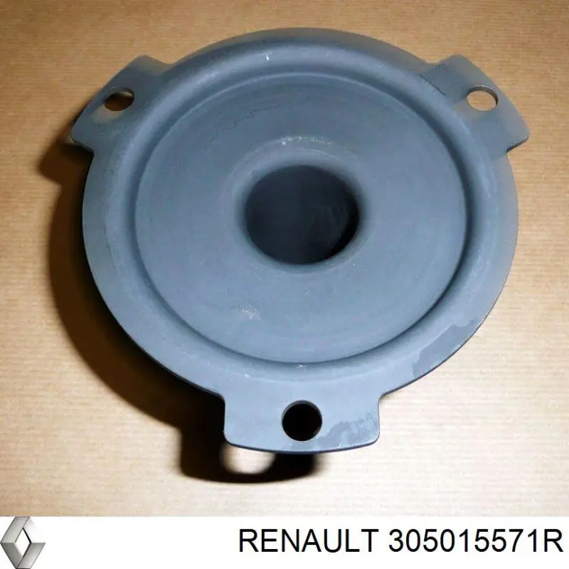  Renault (RVI) 305015571R