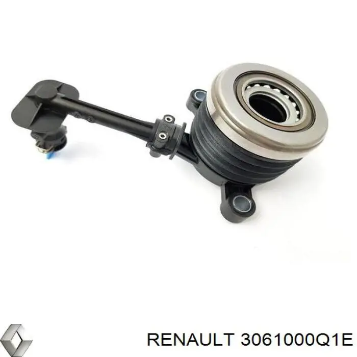 3061000Q1E Renault (RVI)