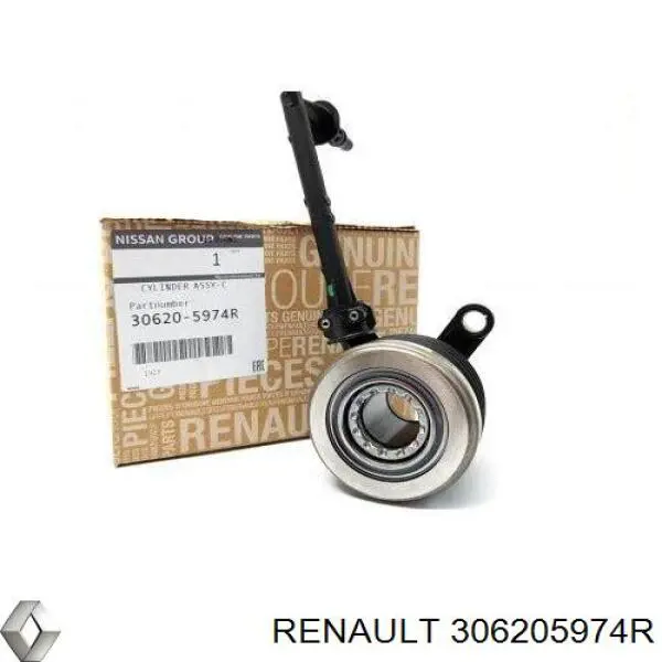 Lubricante universal 306205974R Renault (RVI)