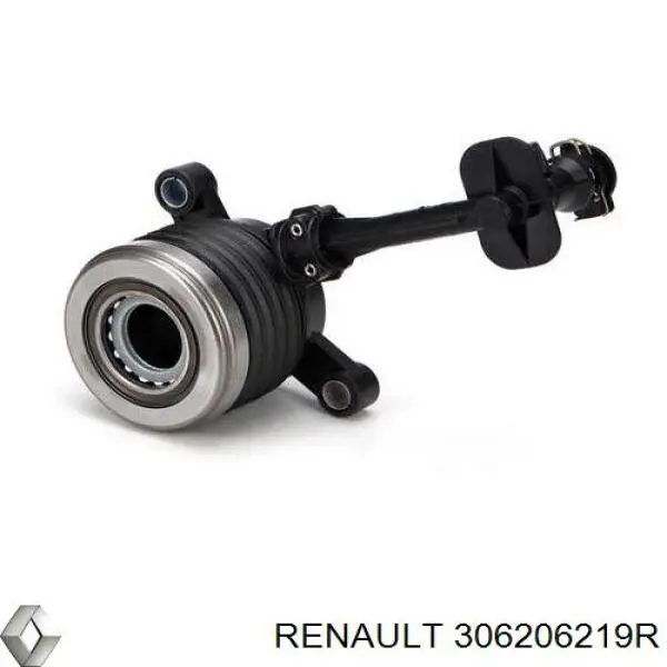 306206219R Renault (RVI)