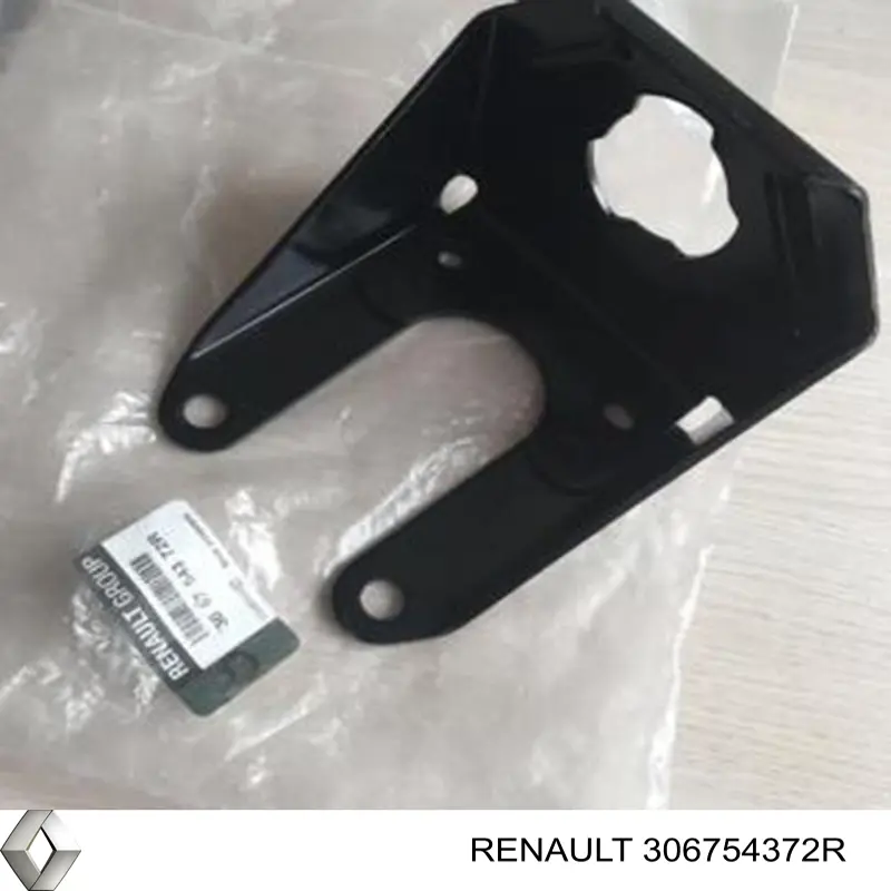 306754372R Renault (RVI) 