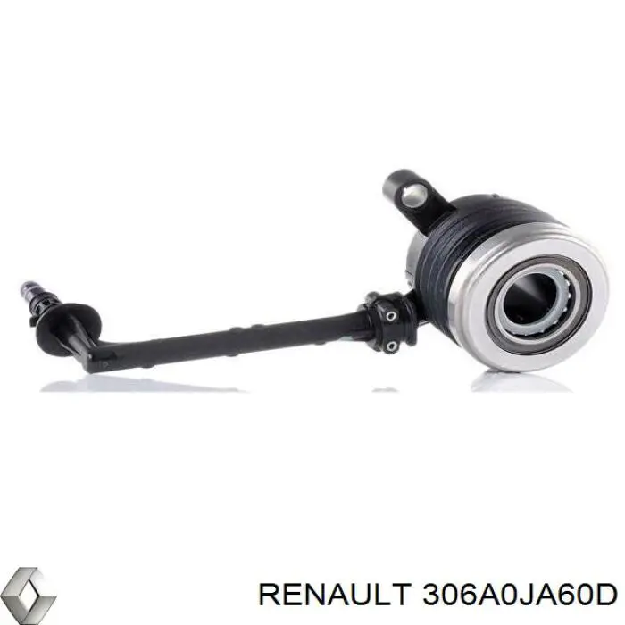 Lubricante universal 306A0JA60D Renault (RVI)