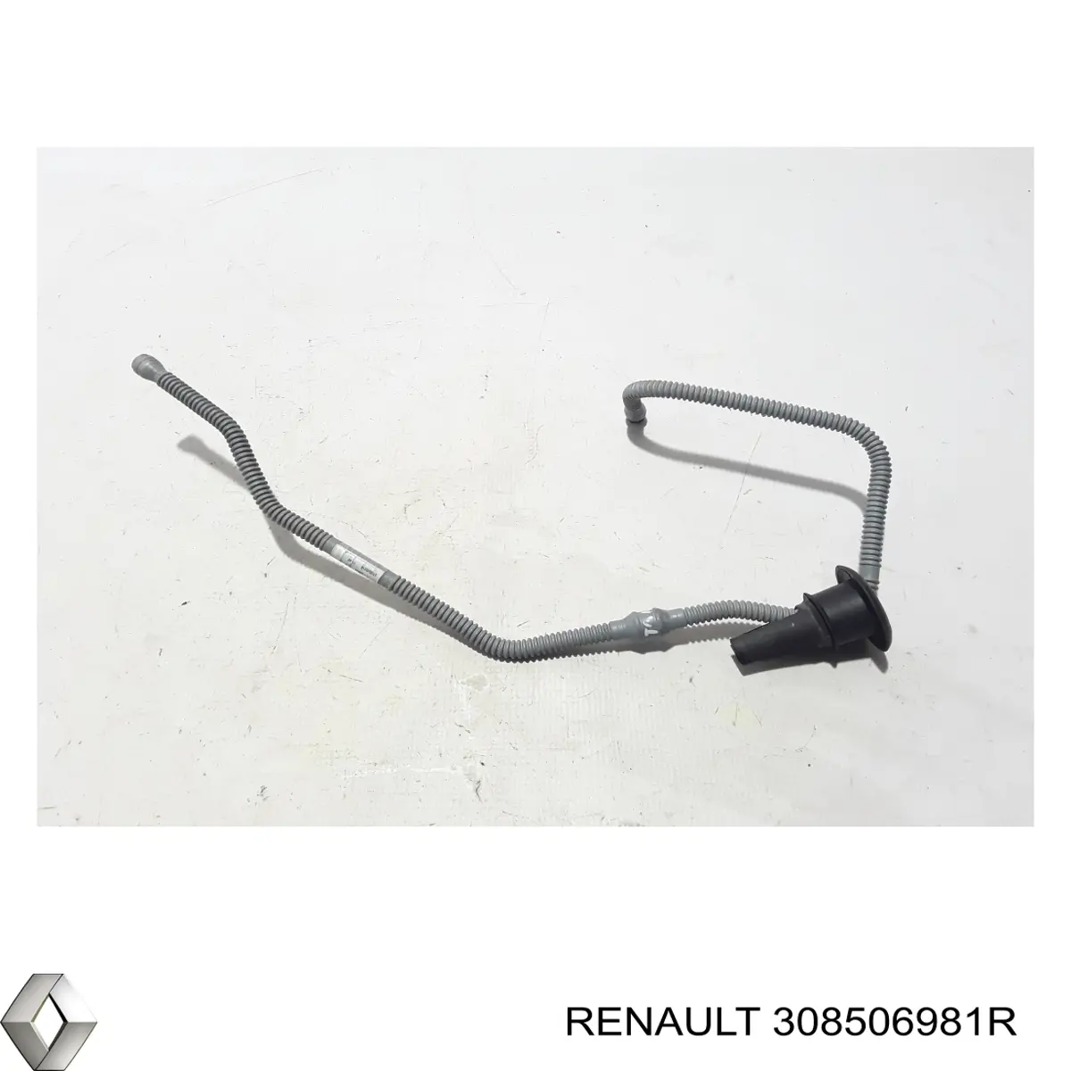 308506981R Renault (RVI) 