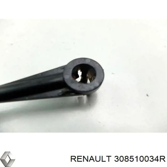 308510034R Renault (RVI) 