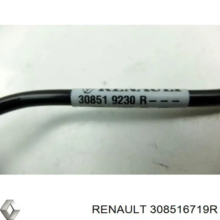 Шланг цилиндра сцепления Renault (RVI) 308516719R
