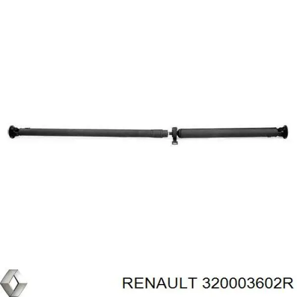 320003602R Renault (RVI)