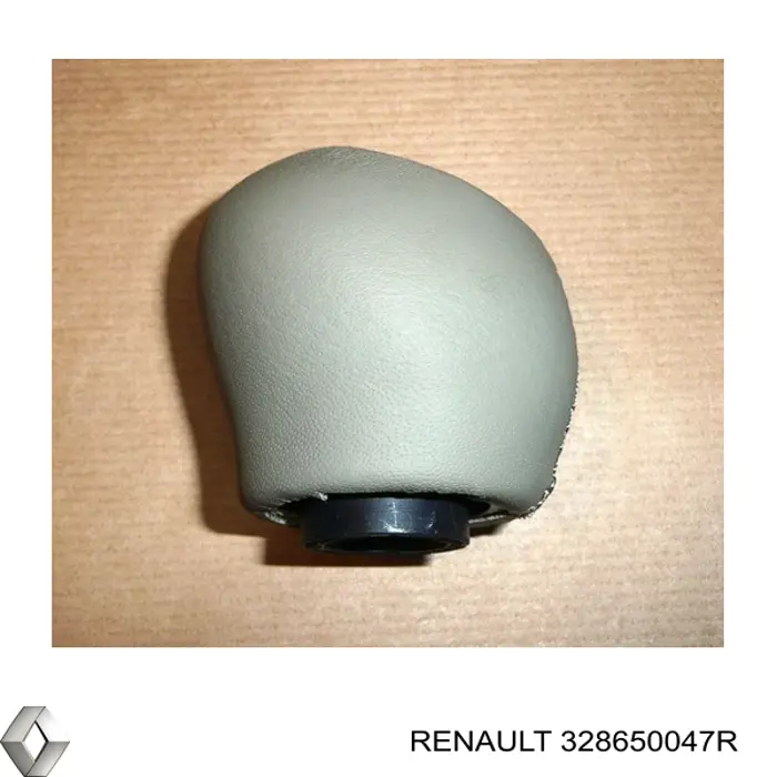  328650047R Renault (RVI)