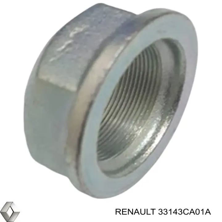 Купить 33143CA01A Renault (RVI) 