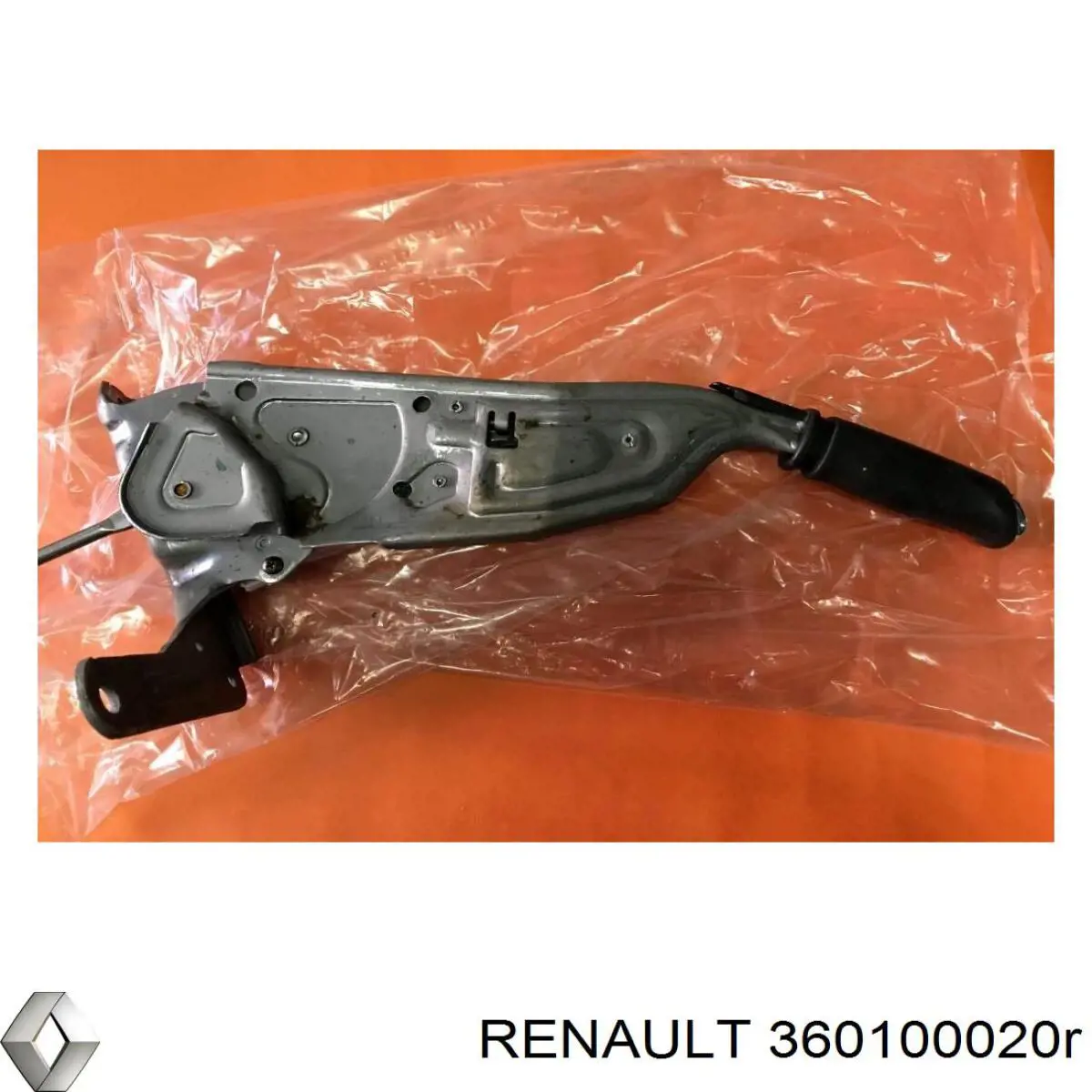 360100020R Renault (RVI) 