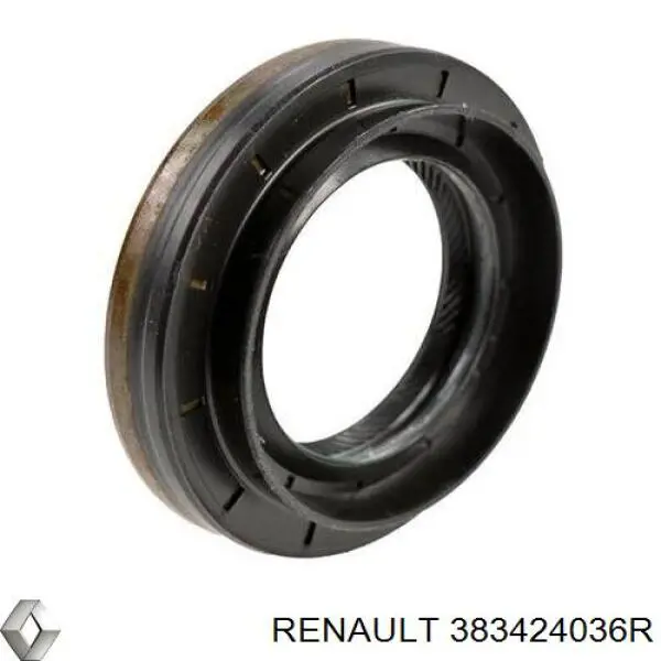 Сальник редуктора переднего моста 383424036R Renault (RVI)