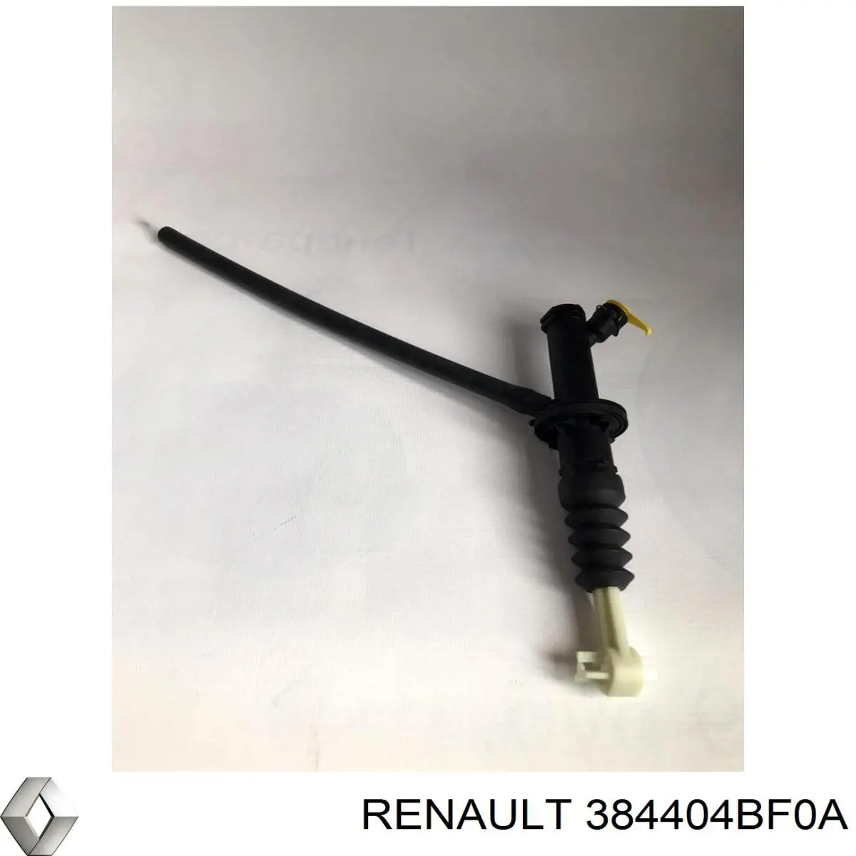 Подшипник дифференциала заднего моста Renault (RVI) 384404BF0A