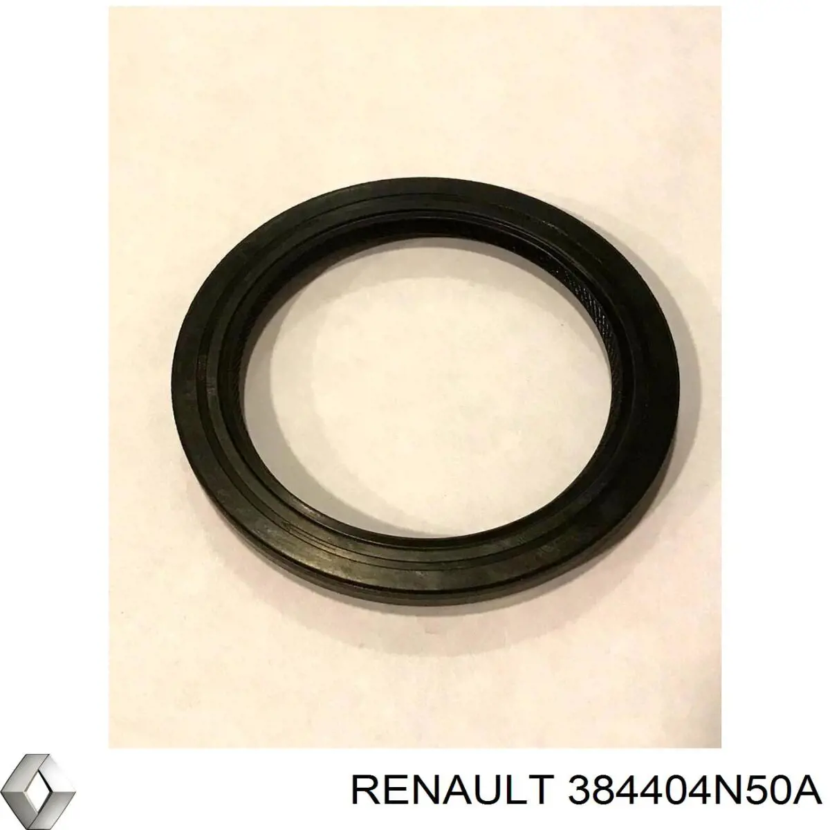  Renault (RVI) 384404N50A