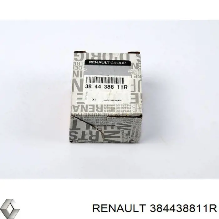 384438811R Renault (RVI)