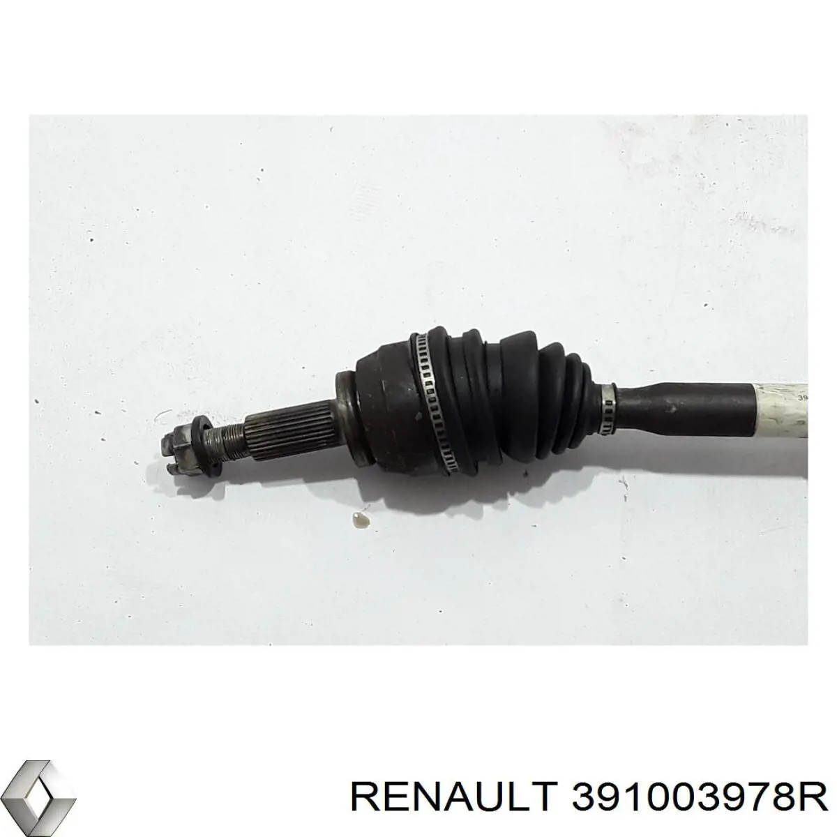 391003978R Renault (RVI) 