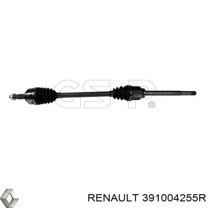 391004255R Renault (RVI)