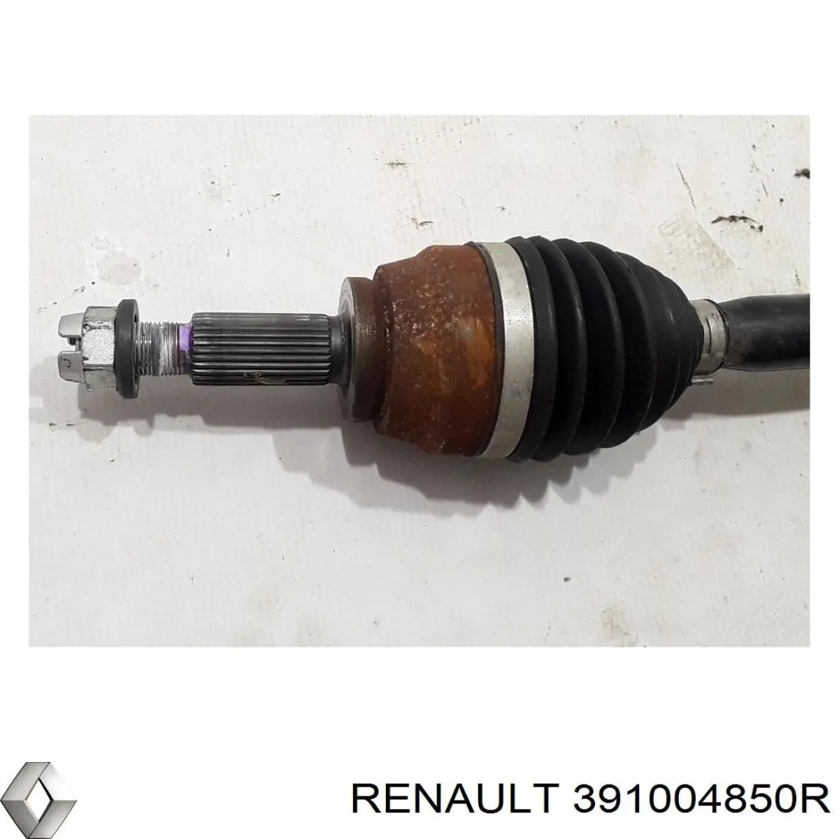  391004850R Renault (RVI)