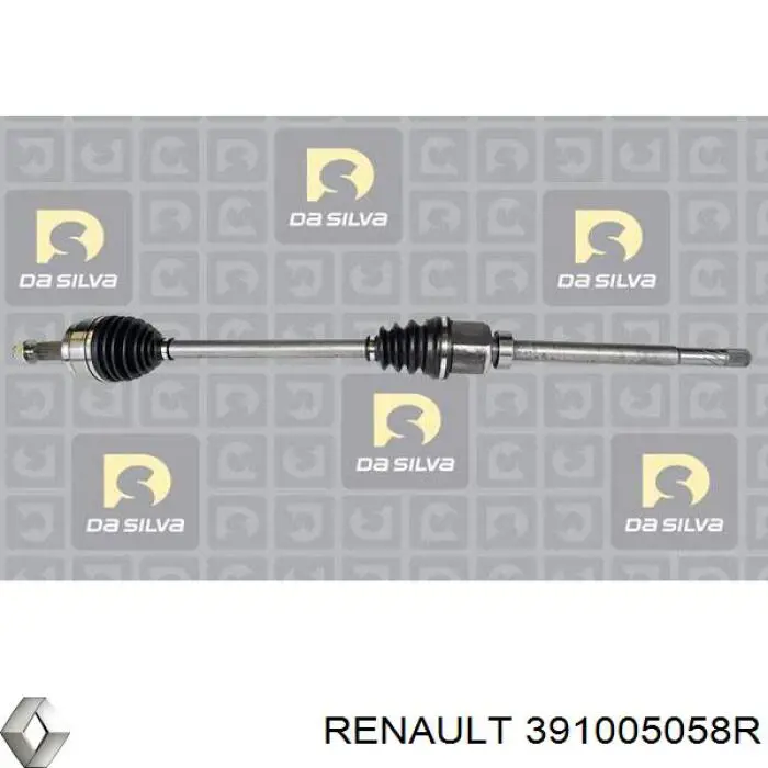  391005058R Renault (RVI)